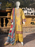 Embroidered Lawn Stitched 3-Pc