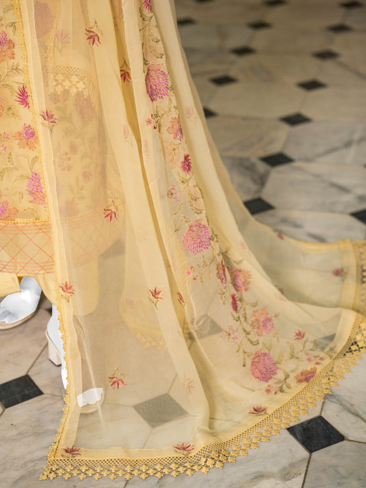 Embroidered Chiffon