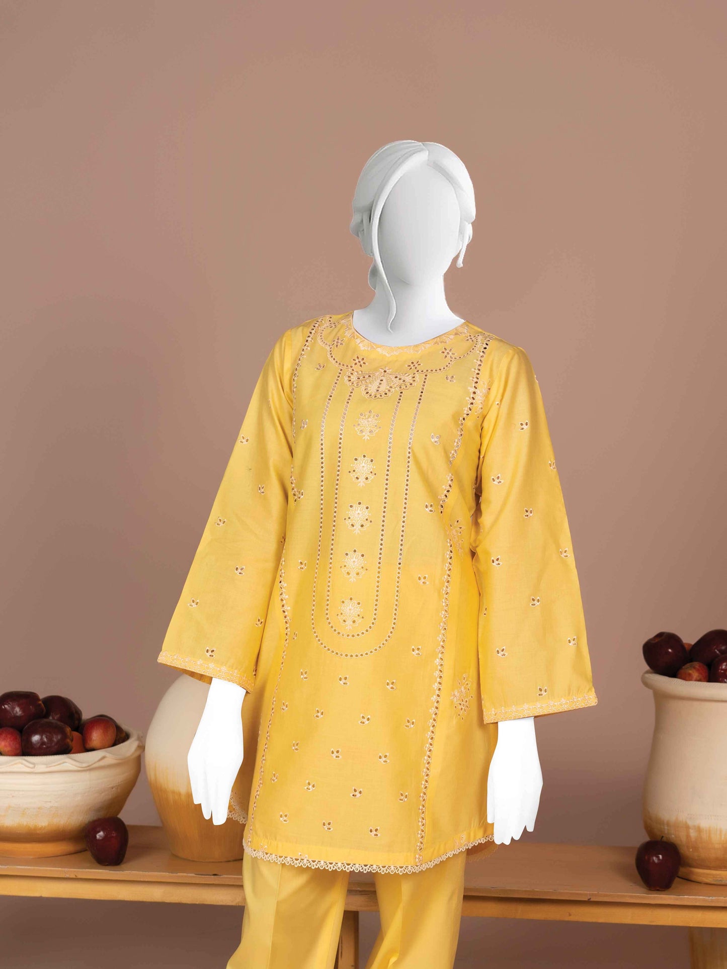 Embroidered Lawn 2PC Stitched